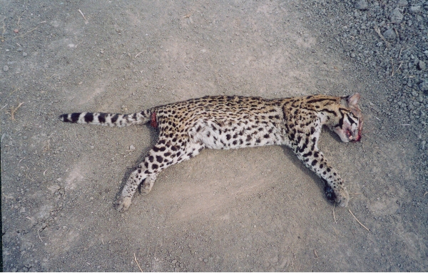 FIGURE 3 FIGURE 3
